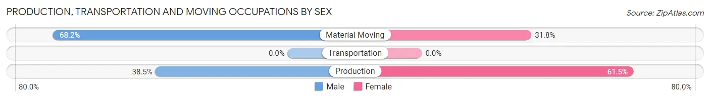 Production, Transportation and Moving Occupations by Sex in Zip Code 76129