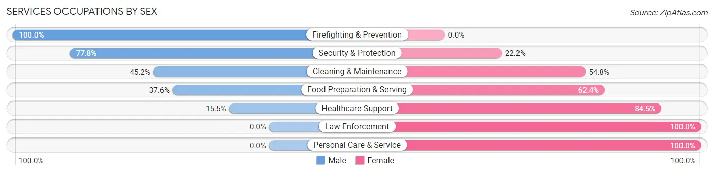 Services Occupations by Sex in Zip Code 76207