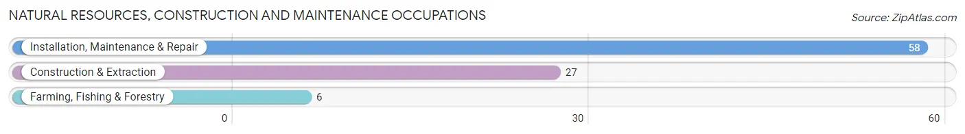 Natural Resources, Construction and Maintenance Occupations in Zip Code 76228