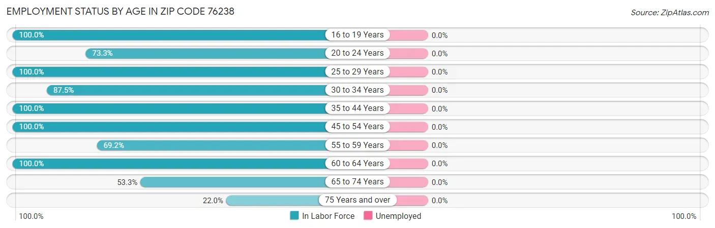 Employment Status by Age in Zip Code 76238