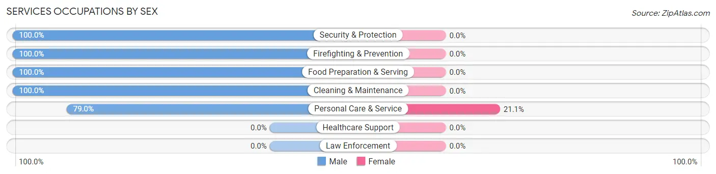 Services Occupations by Sex in Zip Code 76238