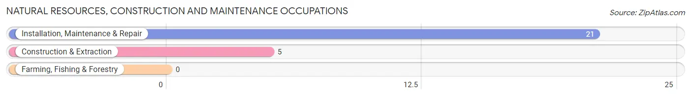 Natural Resources, Construction and Maintenance Occupations in Zip Code 76251