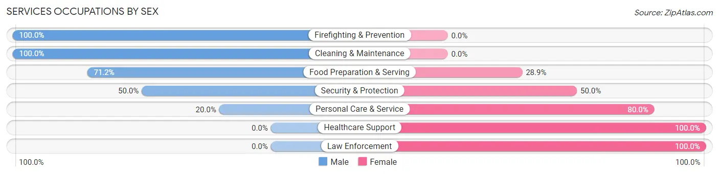 Services Occupations by Sex in Zip Code 76252