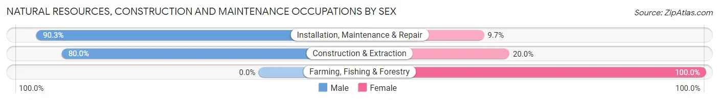 Natural Resources, Construction and Maintenance Occupations by Sex in Zip Code 76258