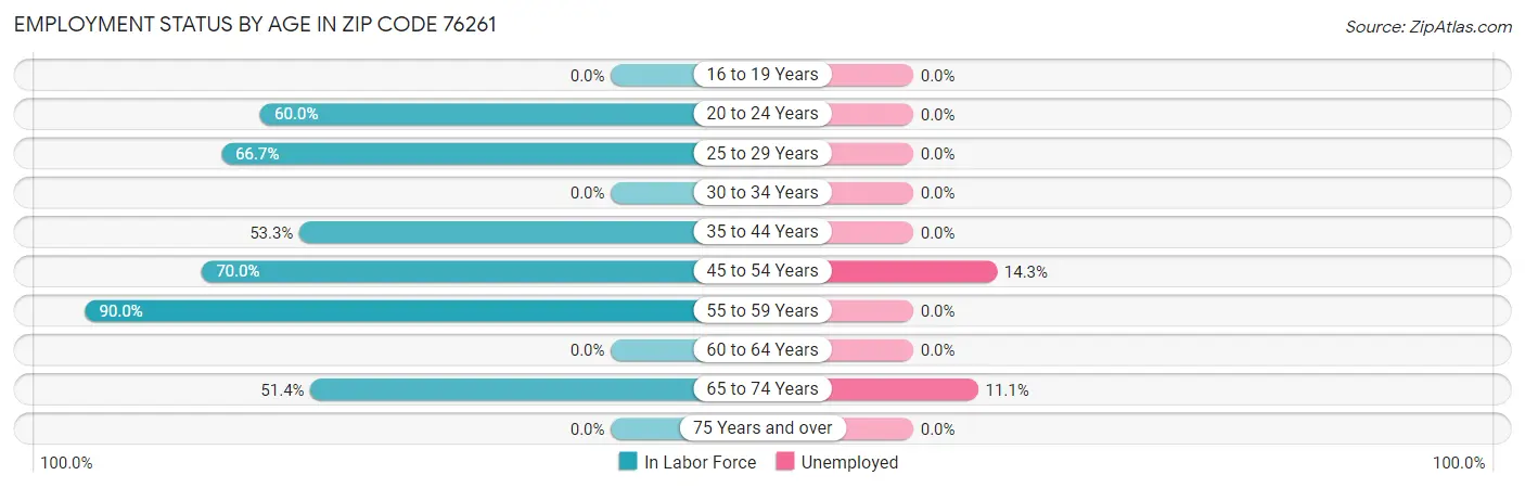 Employment Status by Age in Zip Code 76261