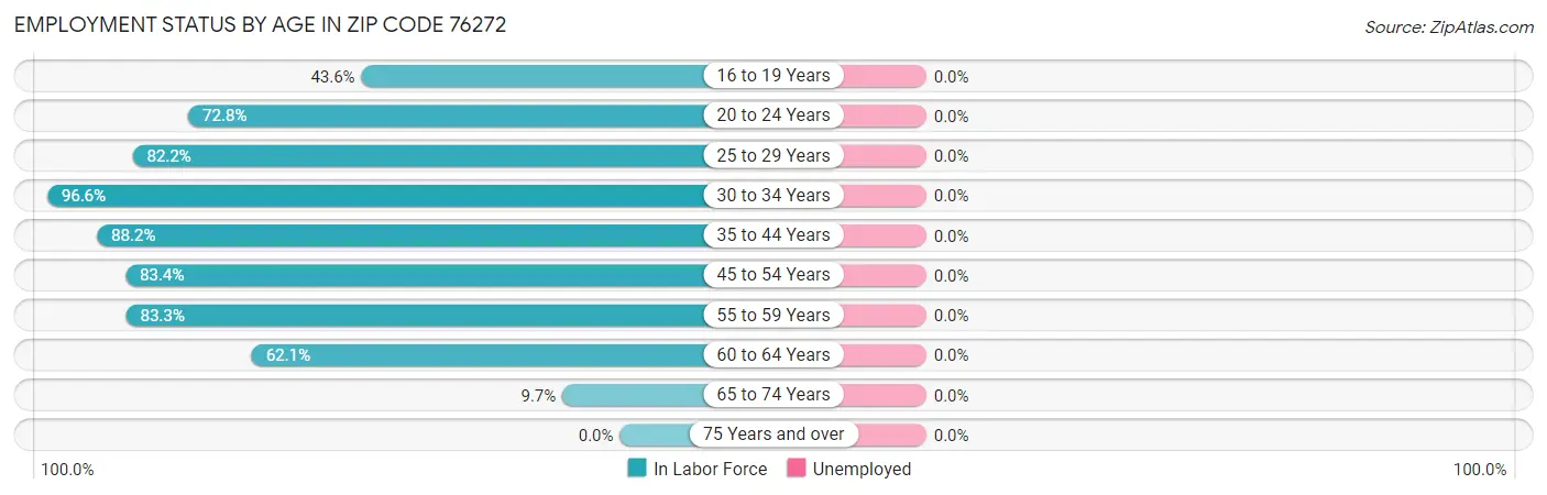 Employment Status by Age in Zip Code 76272