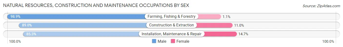Natural Resources, Construction and Maintenance Occupations by Sex in Zip Code 76384