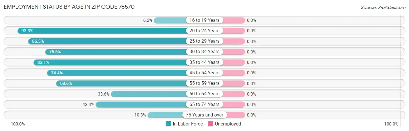 Employment Status by Age in Zip Code 76570