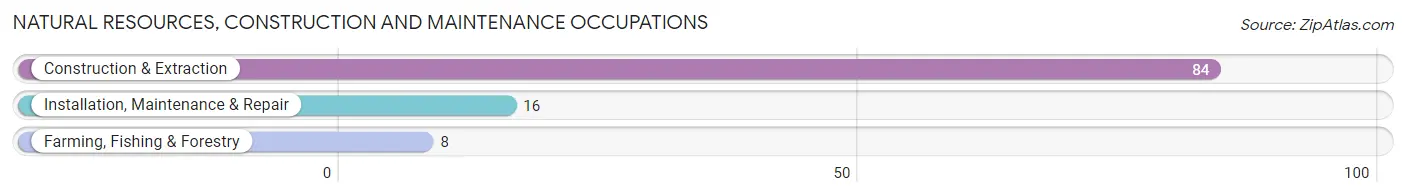 Natural Resources, Construction and Maintenance Occupations in Zip Code 76570