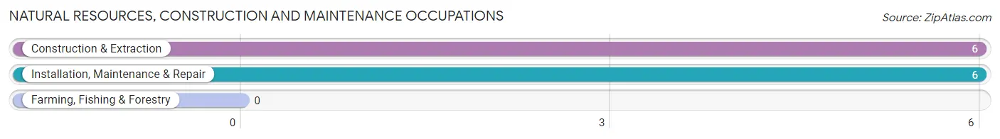 Natural Resources, Construction and Maintenance Occupations in Zip Code 76623