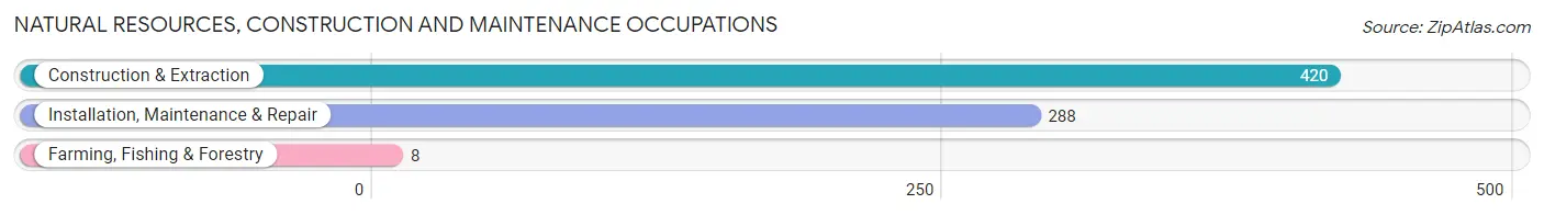 Natural Resources, Construction and Maintenance Occupations in Zip Code 76667