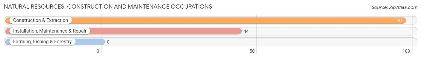 Natural Resources, Construction and Maintenance Occupations in Zip Code 76693