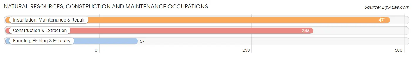 Natural Resources, Construction and Maintenance Occupations in Zip Code 76710