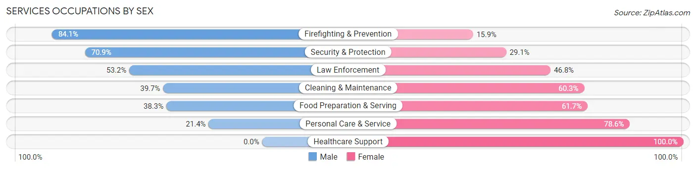 Services Occupations by Sex in Zip Code 76802