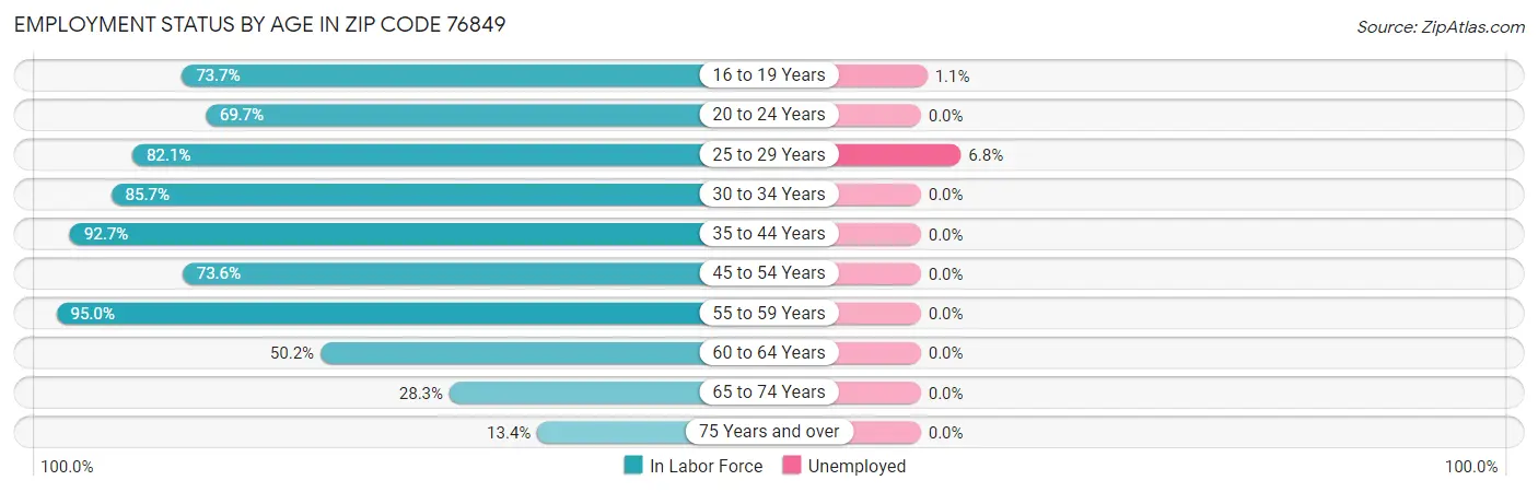 Employment Status by Age in Zip Code 76849