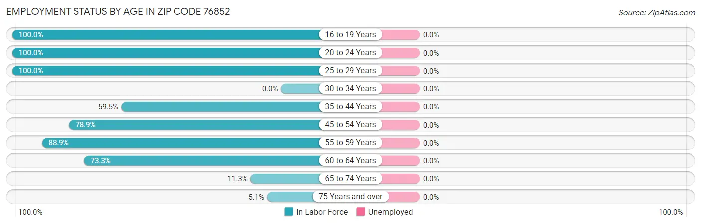 Employment Status by Age in Zip Code 76852