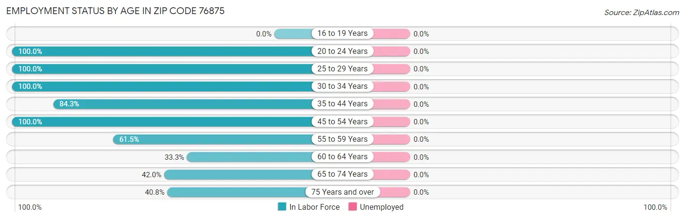 Employment Status by Age in Zip Code 76875