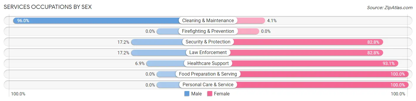 Services Occupations by Sex in Zip Code 76878