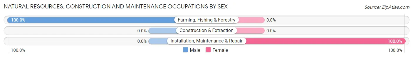 Natural Resources, Construction and Maintenance Occupations by Sex in Zip Code 76908