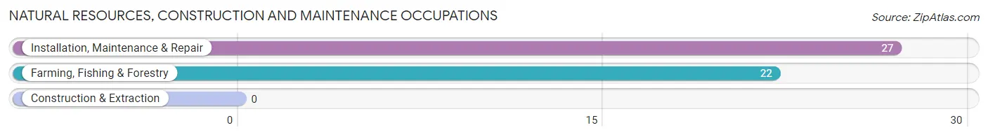 Natural Resources, Construction and Maintenance Occupations in Zip Code 76908