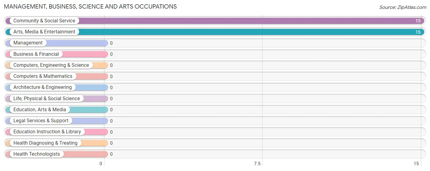 Management, Business, Science and Arts Occupations in Zip Code 76953