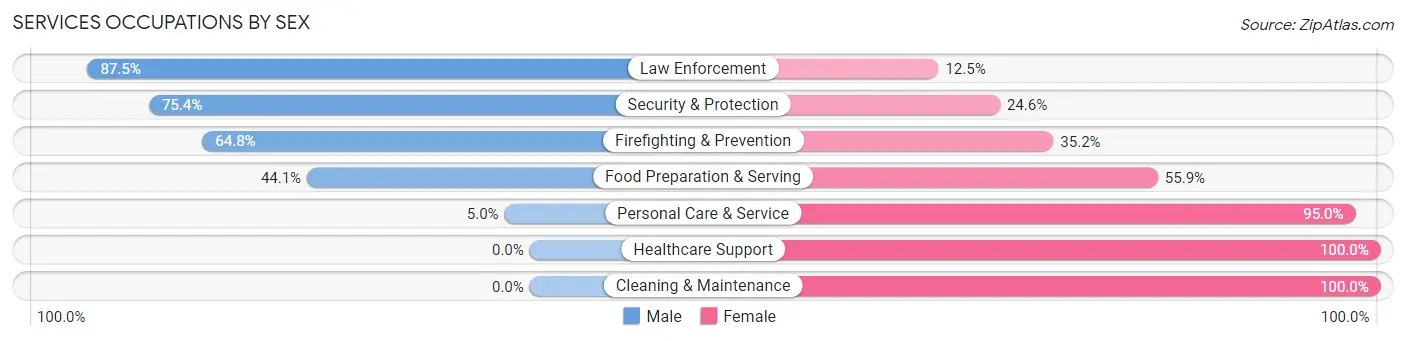 Services Occupations by Sex in Zip Code 77047