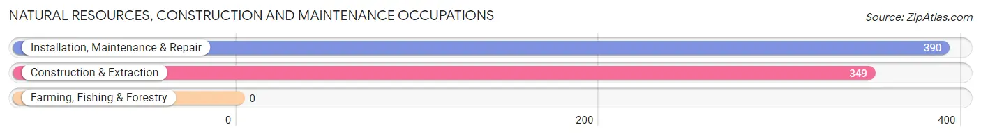 Natural Resources, Construction and Maintenance Occupations in Zip Code 77048