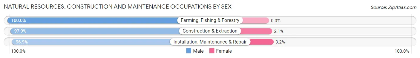 Natural Resources, Construction and Maintenance Occupations by Sex in Zip Code 77355
