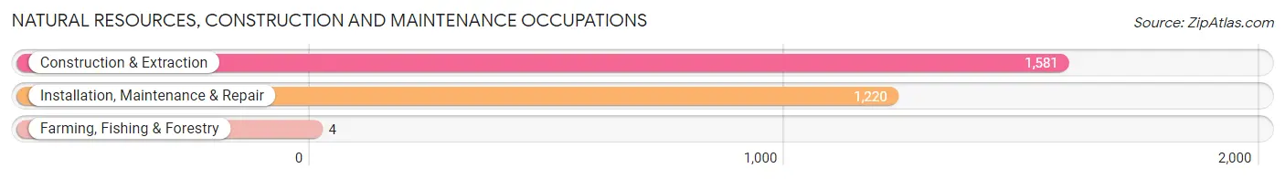 Natural Resources, Construction and Maintenance Occupations in Zip Code 77373