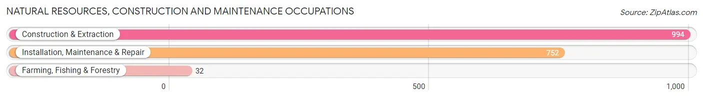 Natural Resources, Construction and Maintenance Occupations in Zip Code 77375