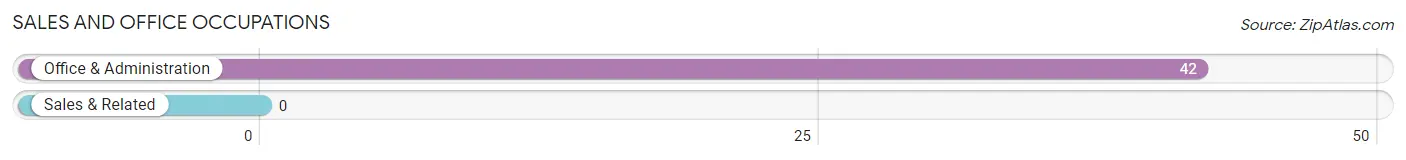 Sales and Office Occupations in Zip Code 77376
