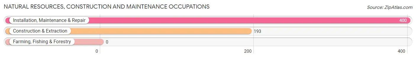 Natural Resources, Construction and Maintenance Occupations in Zip Code 77382