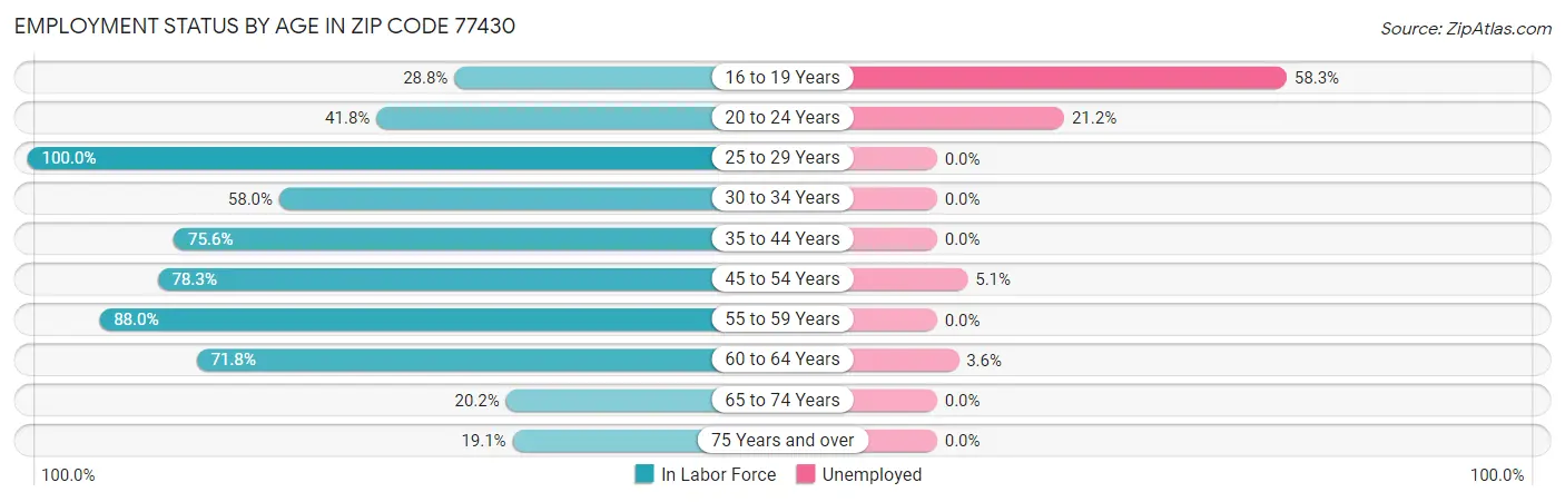 Employment Status by Age in Zip Code 77430