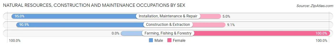 Natural Resources, Construction and Maintenance Occupations by Sex in Zip Code 77450