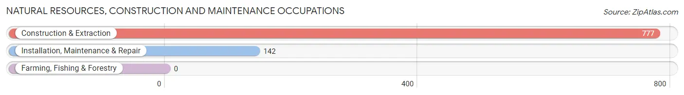 Natural Resources, Construction and Maintenance Occupations in Zip Code 77461