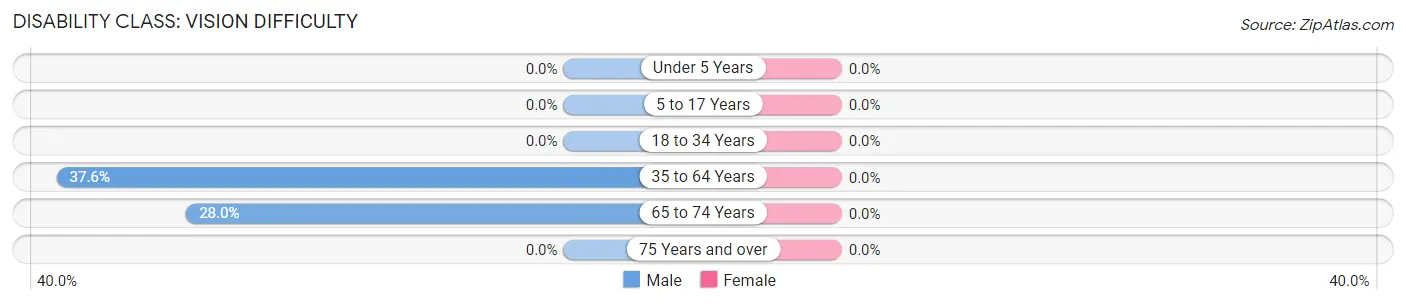 Disability in Zip Code 77466: <span>Vision Difficulty</span>