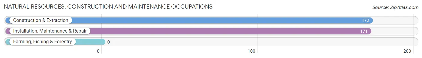 Natural Resources, Construction and Maintenance Occupations in Zip Code 77478