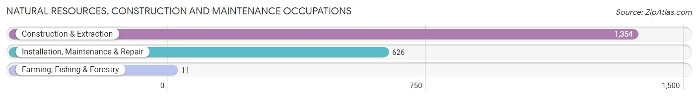 Natural Resources, Construction and Maintenance Occupations in Zip Code 77536