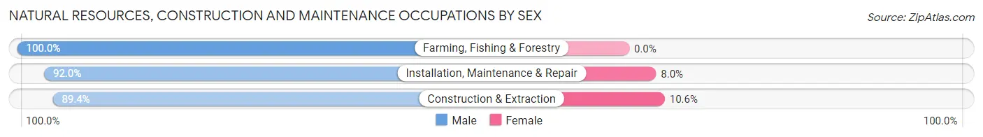 Natural Resources, Construction and Maintenance Occupations by Sex in Zip Code 77546