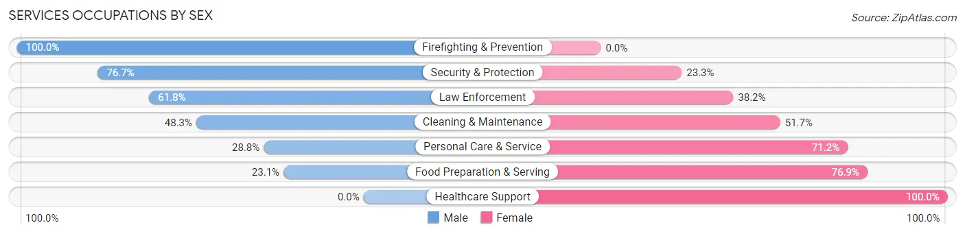 Services Occupations by Sex in Zip Code 77611