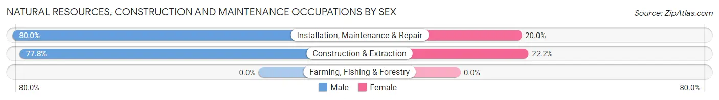 Natural Resources, Construction and Maintenance Occupations by Sex in Zip Code 77613