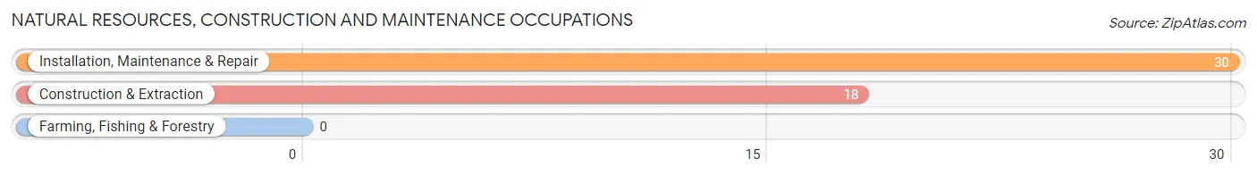 Natural Resources, Construction and Maintenance Occupations in Zip Code 77613