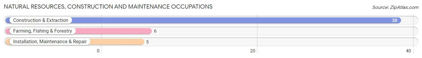 Natural Resources, Construction and Maintenance Occupations in Zip Code 77629