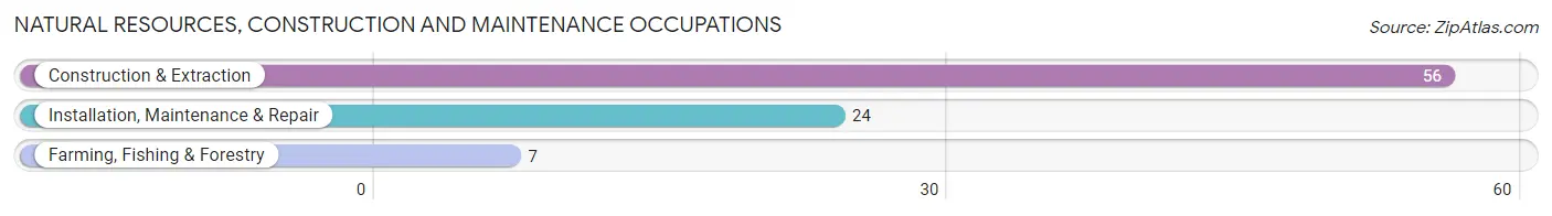 Natural Resources, Construction and Maintenance Occupations in Zip Code 77837