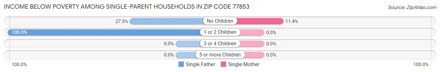 Income Below Poverty Among Single-Parent Households in Zip Code 77853