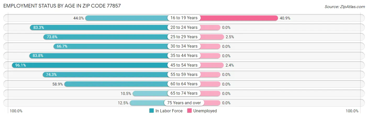 Employment Status by Age in Zip Code 77857