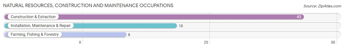 Natural Resources, Construction and Maintenance Occupations in Zip Code 77857