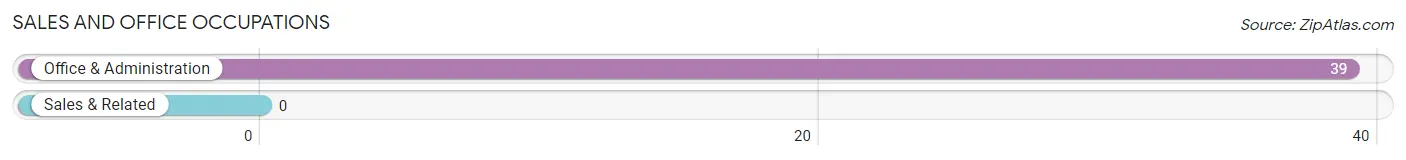 Sales and Office Occupations in Zip Code 77863
