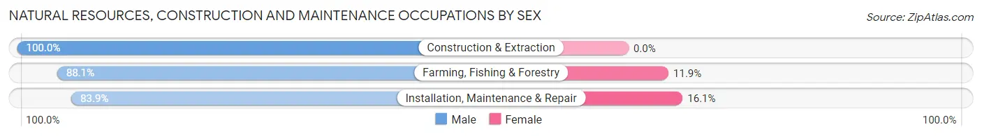 Natural Resources, Construction and Maintenance Occupations by Sex in Zip Code 77901