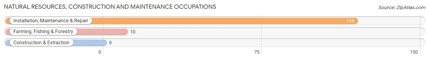 Natural Resources, Construction and Maintenance Occupations in Zip Code 77977